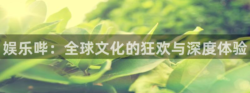 优游国际官网客服电话：娱乐哔：全球文化的狂欢与深度体验