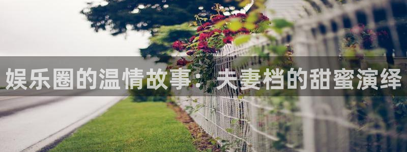 优游国际官网