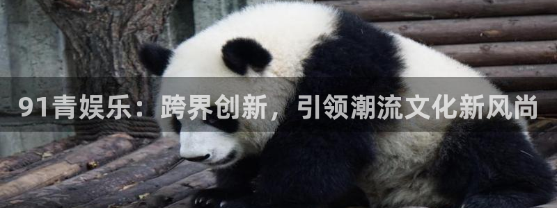 优游国际官网首页
