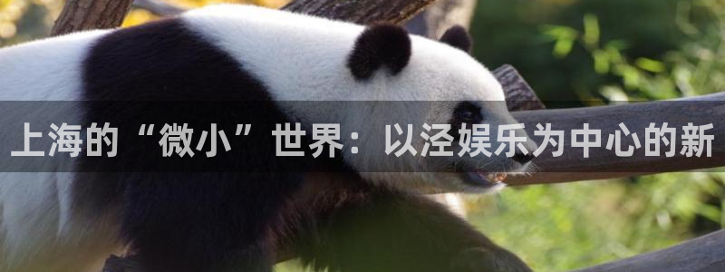 优游国际官网首页