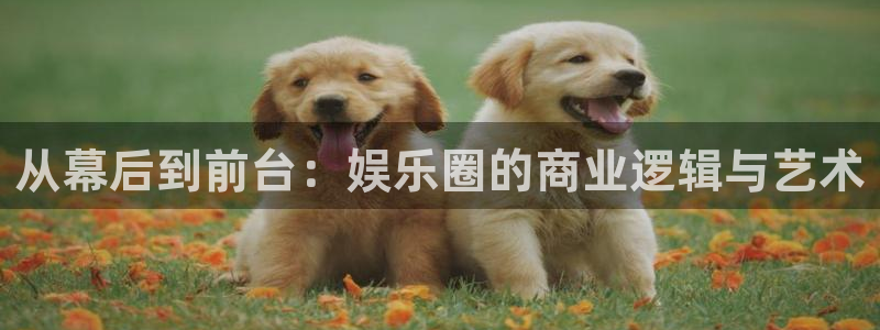 优游国际官网：从幕后到前台：娱乐圈的商业逻辑与艺术