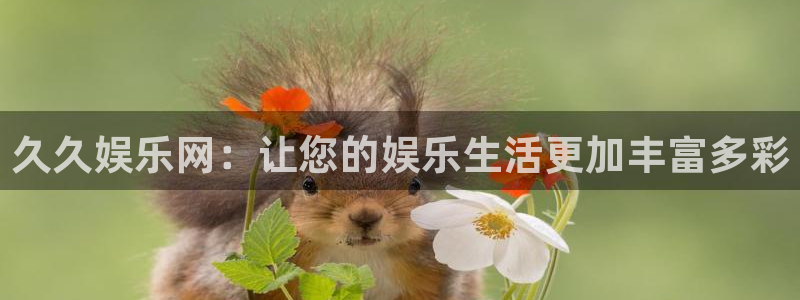 优游国际官网首页：久久娱乐网：让您的娱乐生活更加丰富多彩