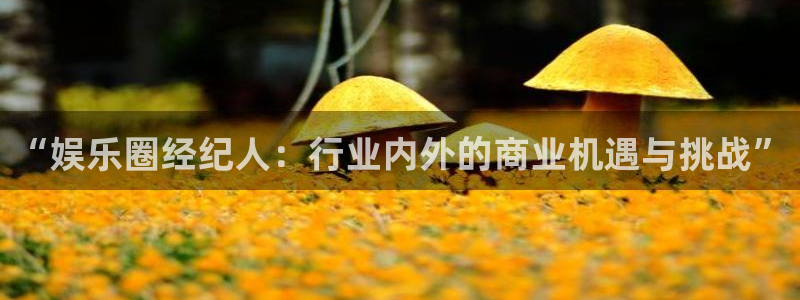 优游国际官网首页：“娱乐圈经纪人：行业内外的商业机遇与挑战”