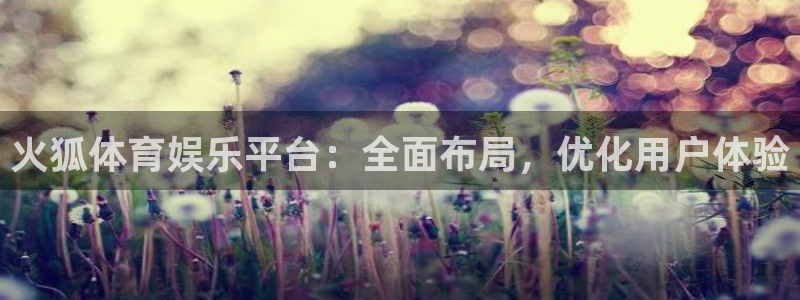 优游国际官网首页：火狐体育娱乐平台：全面布局，优化用户体验