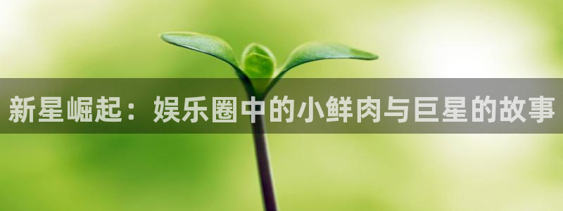 优游国际官网：新星崛起：娱乐圈中的小鲜肉与巨星的故事
