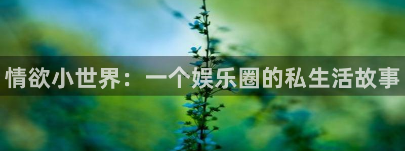 优游国际官网：情欲小世界：一个娱乐圈的私生活故事