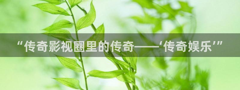 优游国际官网下载：“传奇影视圈里的传奇——‘传奇娱乐’”
