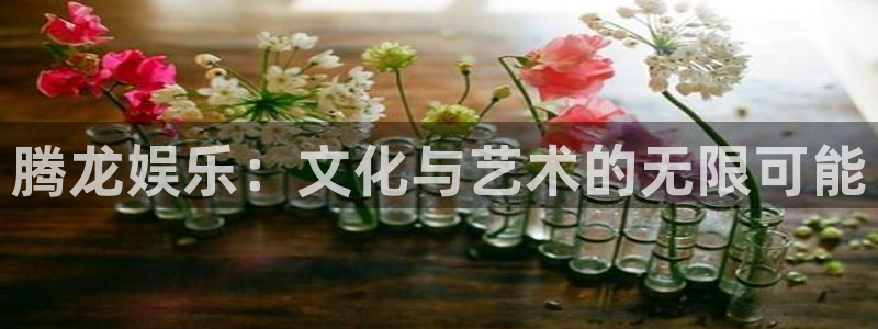 优游国际官网首页：腾龙娱乐：文化与艺术的无限可能