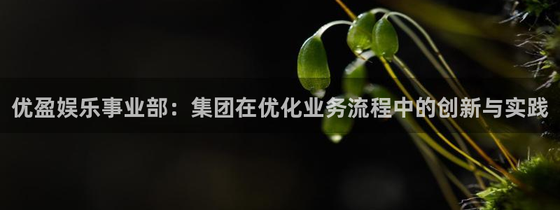 优游国际官网客服电话：优盈娱乐事业部：集团在优化业务流程中的创新与实践