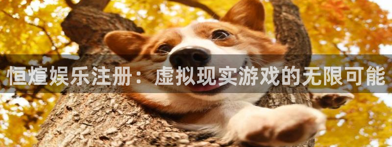 优游国际官网：恒煊娱乐注册：虚拟现实游戏的无限可能